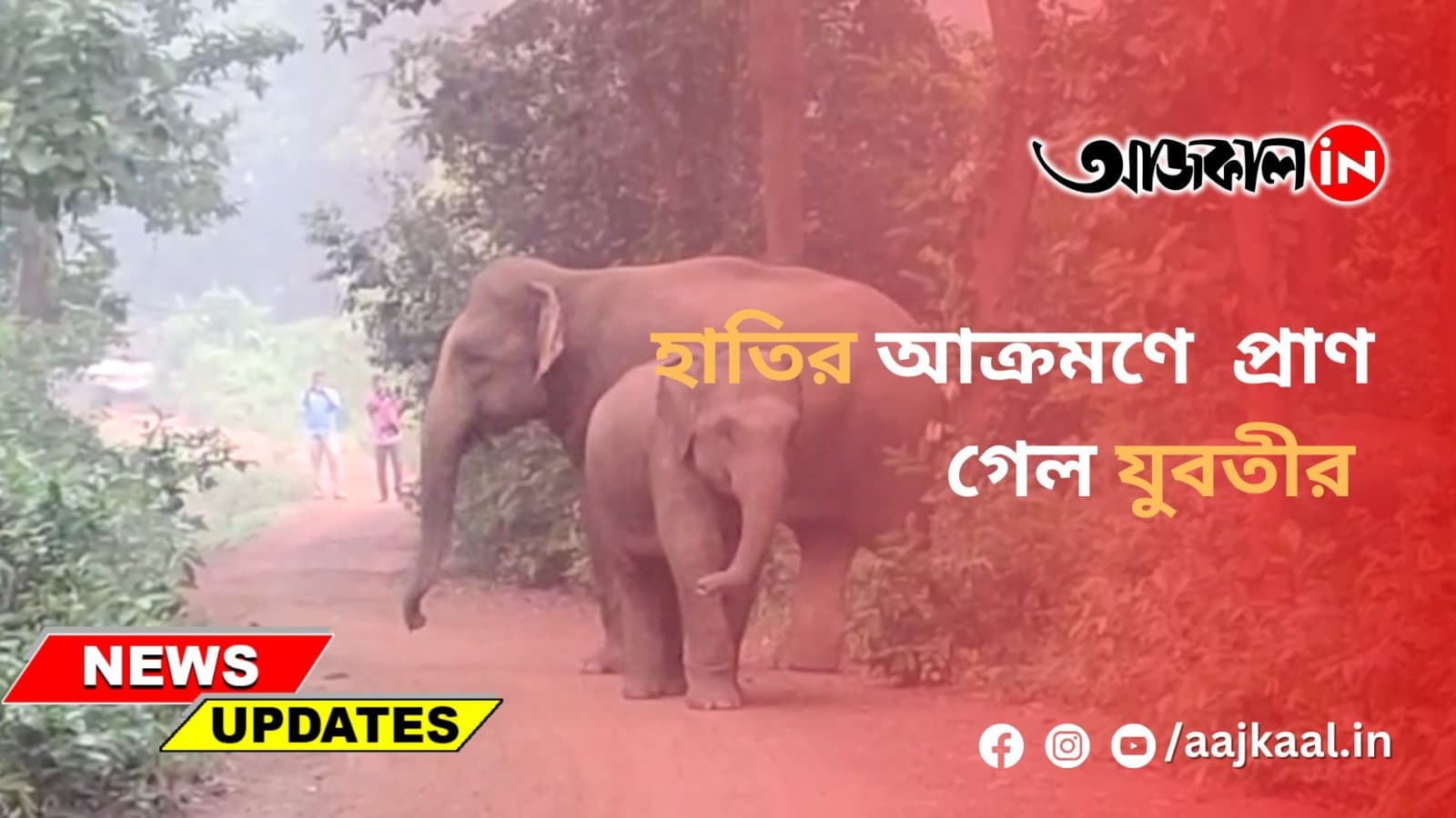 ELEPHANT ATTACK AT BANKURA