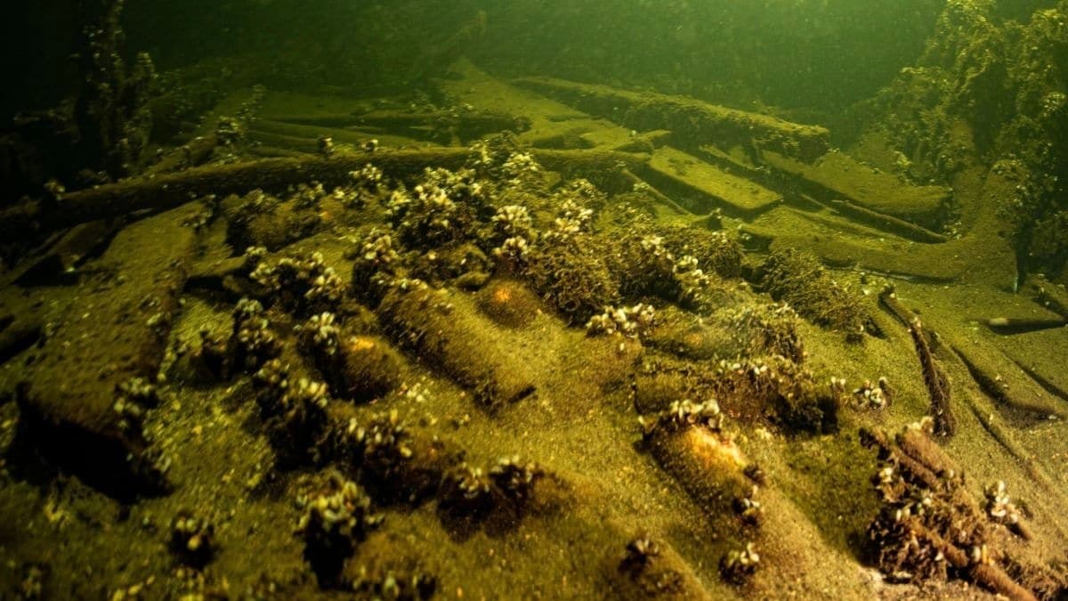  175 Year Old Bottles Of Champagne Discovered By Polish Divers In A Shipwreck gnr 