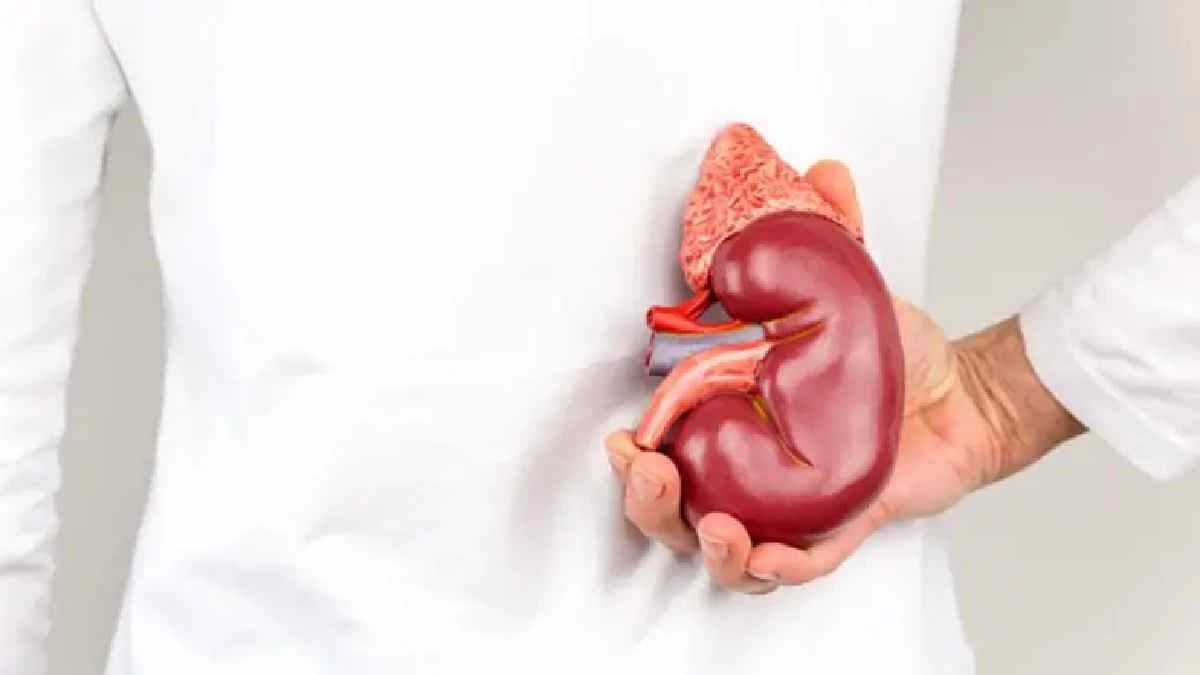 How Kidney stones pain is different from other back pain