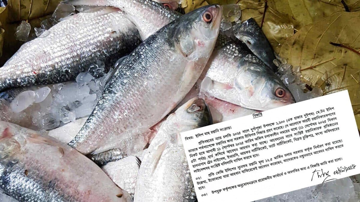 Bangladesh gave green signal to export hilsa before Durga Puja