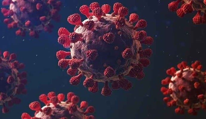 corona new strain found in america