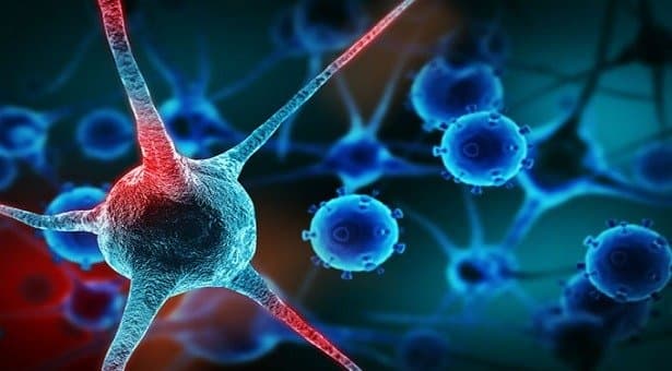 World Cancer Day How lifestyle changes can cut our cancer risk by half details inside lif