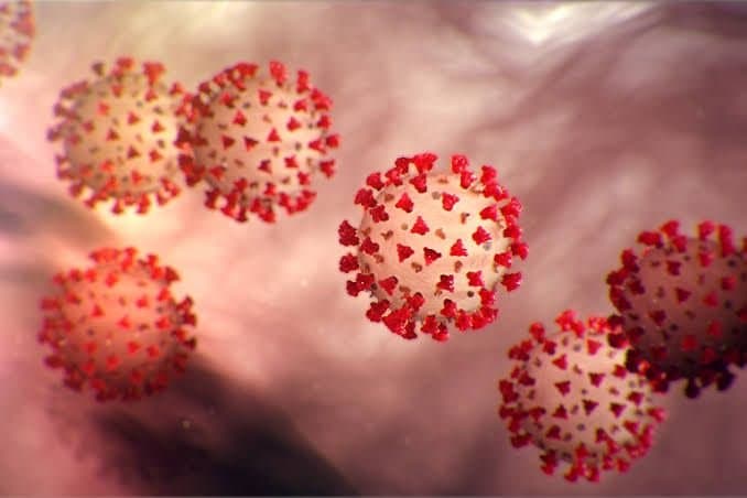  Due to Covid, Global Life Expectancy Dropped by Almost Two Years 