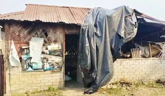 Elephant attack, one dies