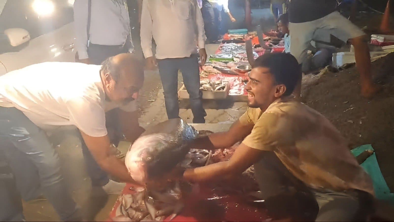 giant katla fish sold at 15 thousands in malda gnr