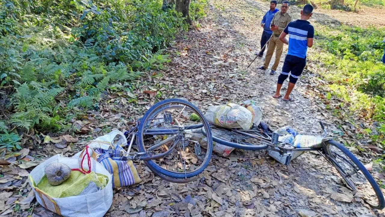 one dead due to elephant attack