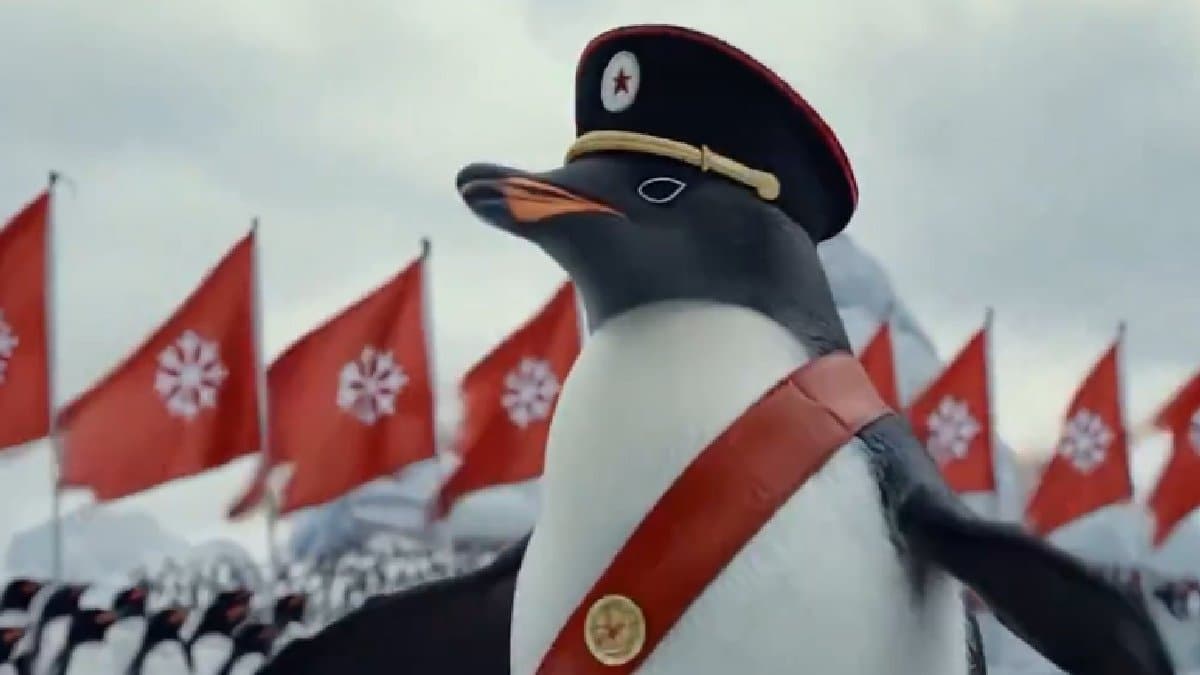 Tariffs on heard and mcdonald Video Shows Penguins Preparing For War Against Trumps Tariff