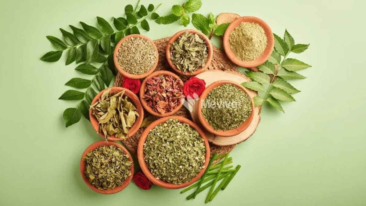 Neem leaves helps to prevent blood sugar helps to maintain good health of skin and hair also lif 