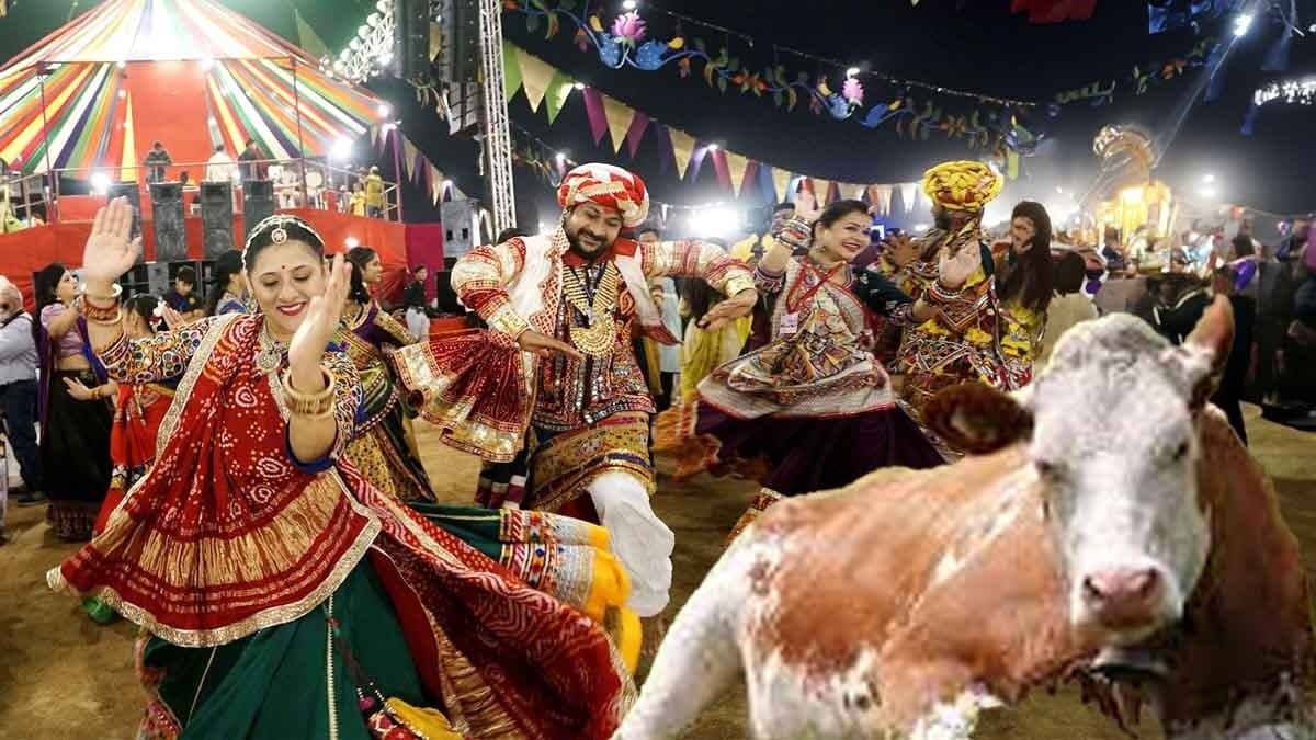 BJP Leader Proposes Cow Urine Sip As Entry Pass For Garba Pandal In Indore_gnr
