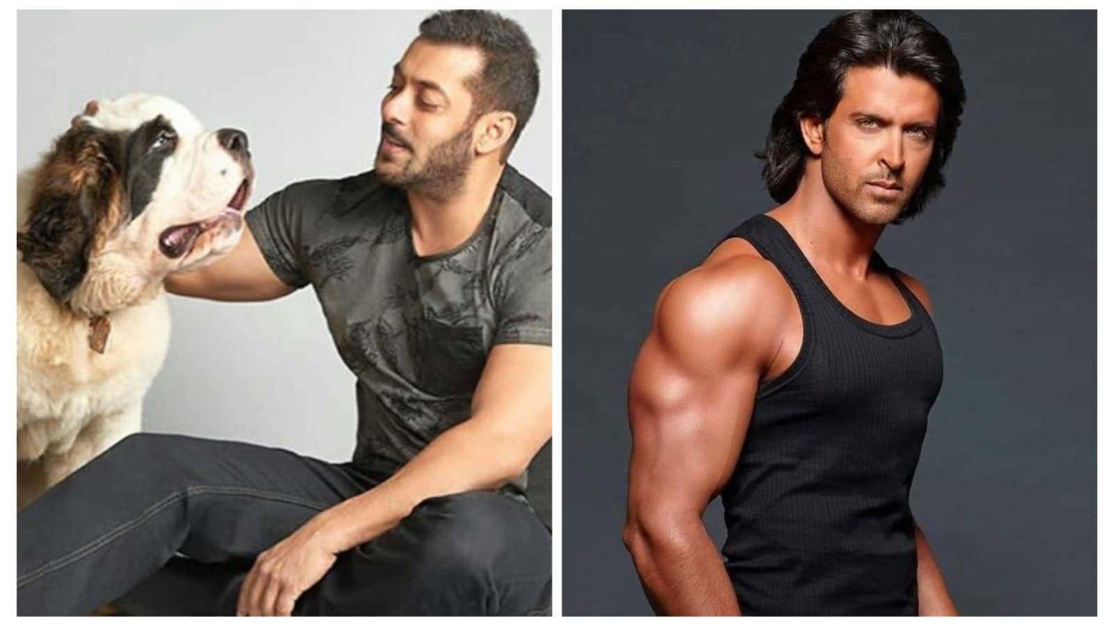 Salman Khan: 'কুকুরেও দেখতে যায় না...' হৃতিকের কোন ছবি নিয়ে ব্যঙ্গ সলমনের? পাল্টা গর্জে উঠে 'টাইগার'কে কী জবাব 'ধুম ২'-এর নায়কের?