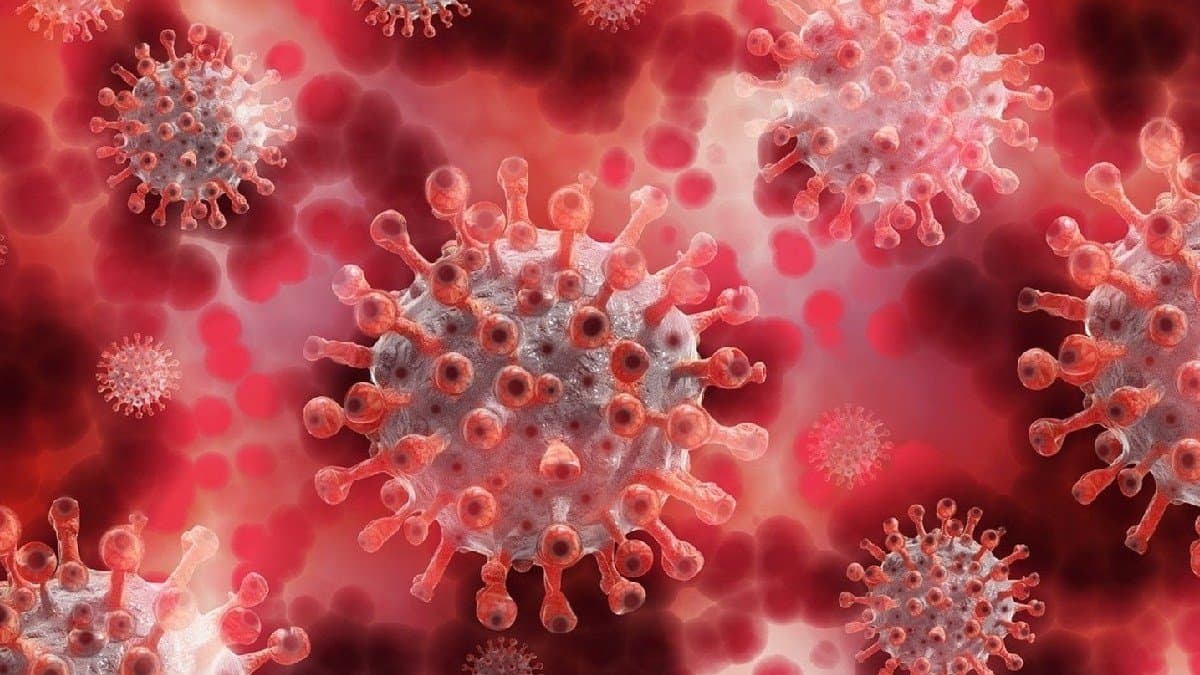 COVID 19 Update India sees fresh spike in covid 19 cases with 3961 active case