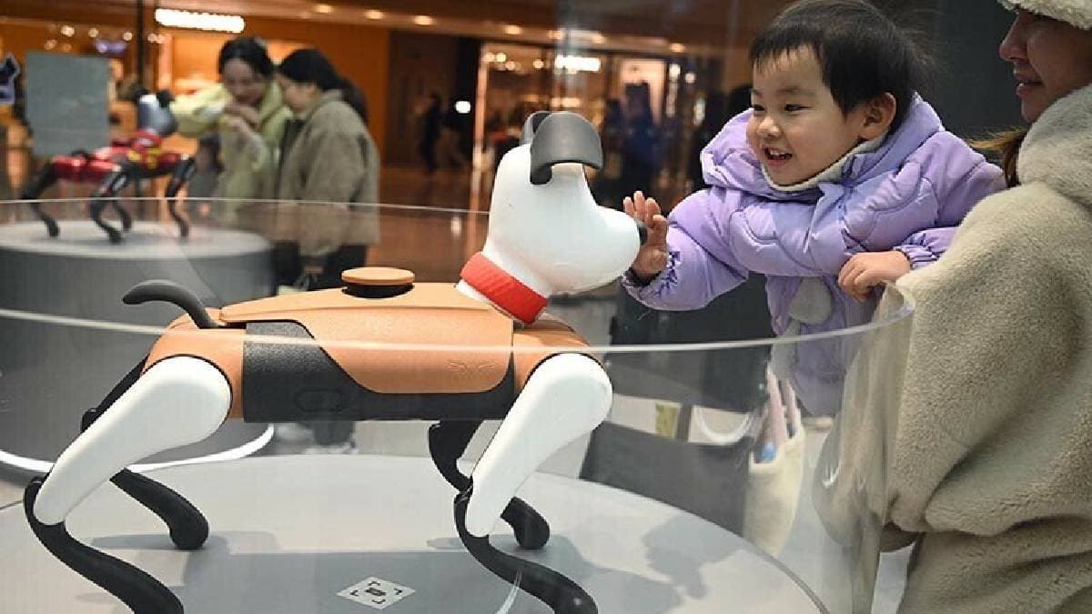 ai pets bubu are helping chinas young generati on deal with social anxiety