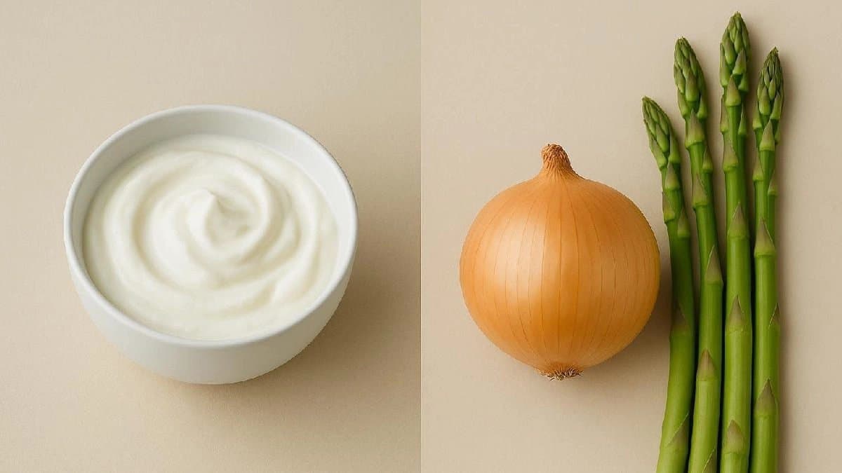 ProBiotics and Prebiotics which are more important for health