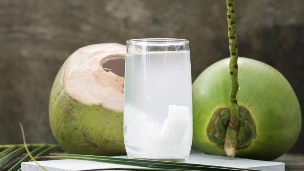 Consuming coconut water can be harmful if you have these diseases