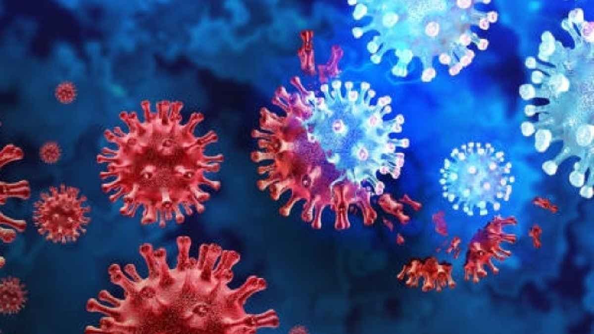 Will There Be Another Lockdown In India As HMPV Cases Detected In Country After China gnr