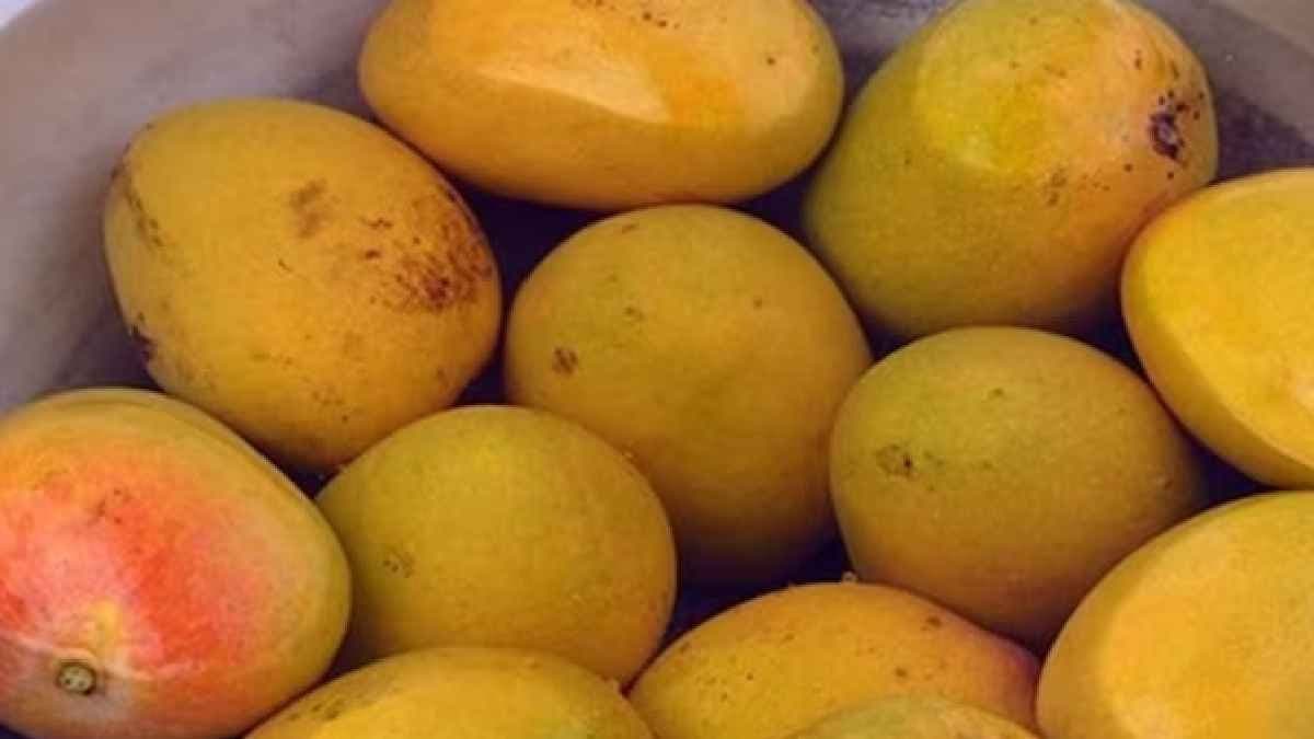 Soak mangoes before eating and make healthy body