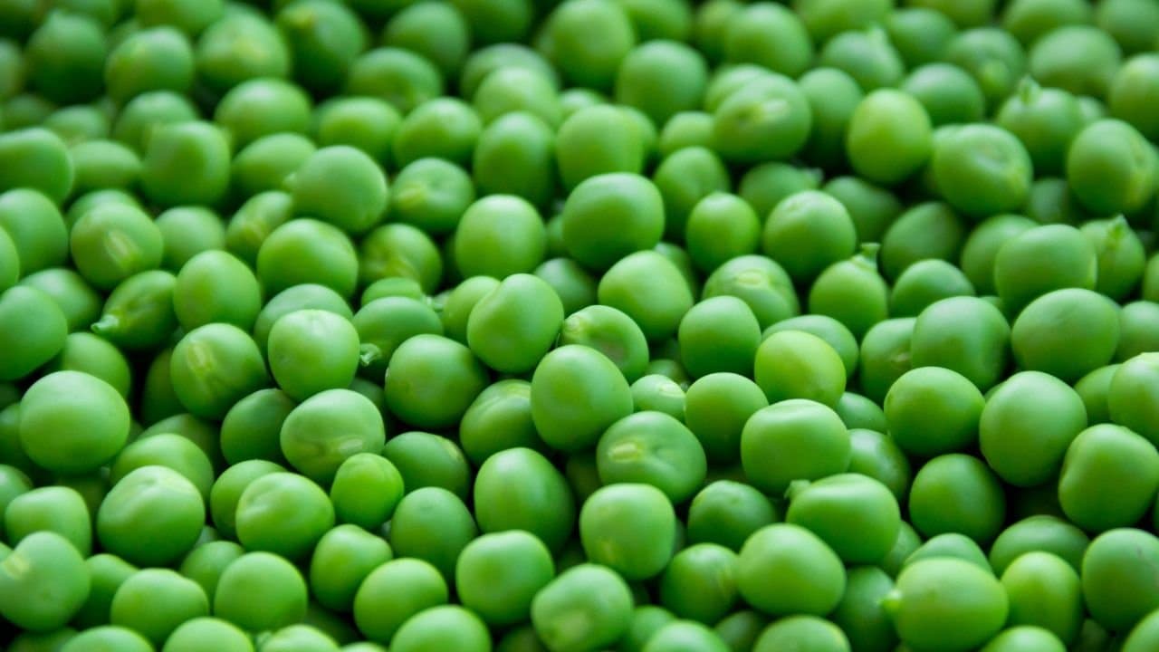 Health tips benefits of green peas