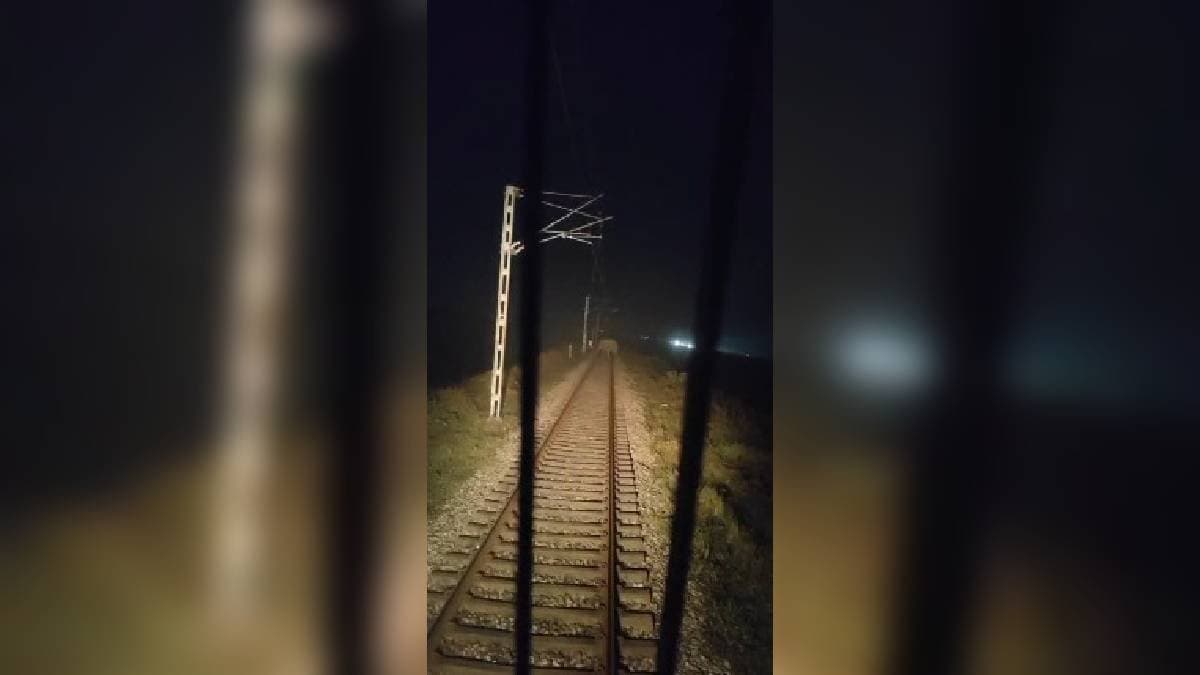 Train Encounters Elephant on Tracks Here is How the Driver Reacted