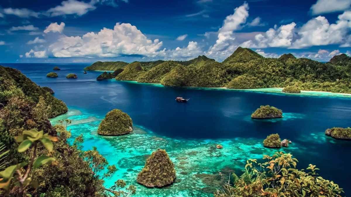 Big creature found at Papua New Guinea and Discovered as New Species