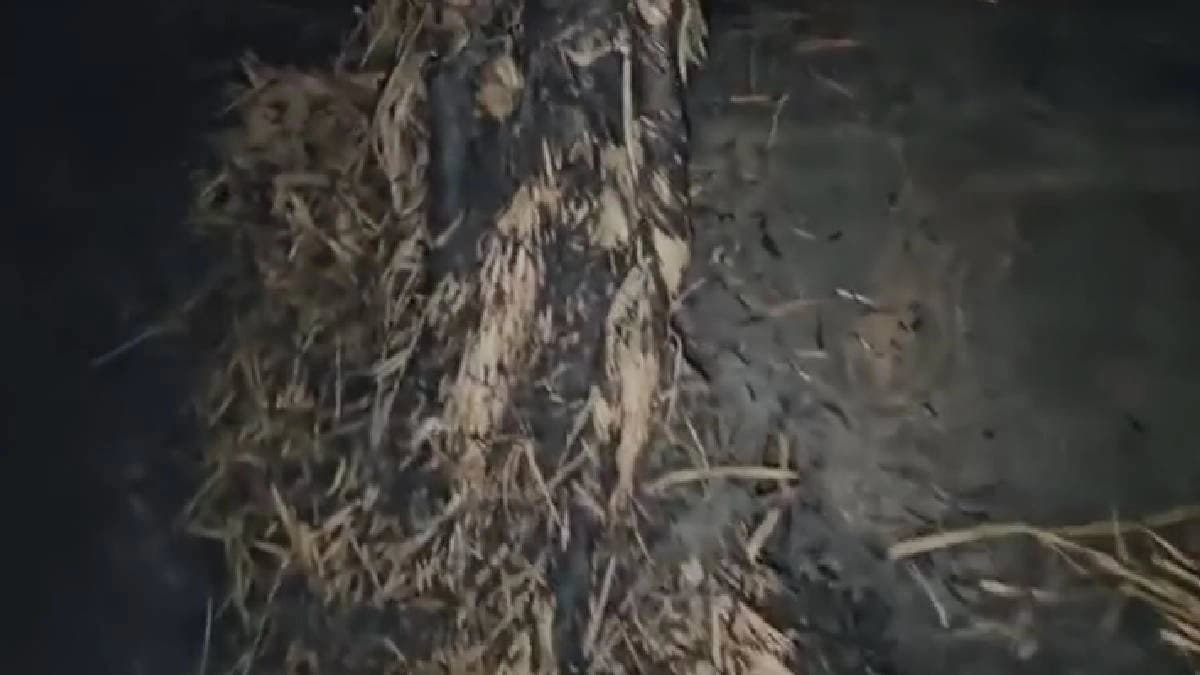 Fire at kali puja pandel in behala