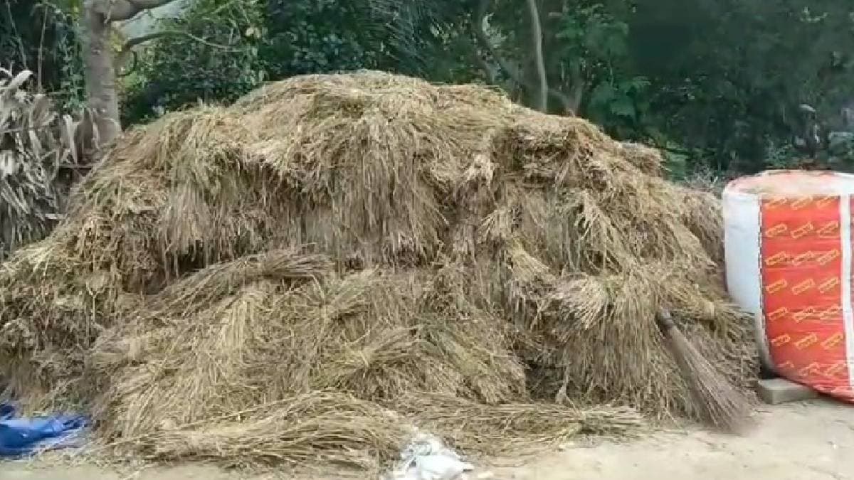 Tragic Death of Farmer Electrocuted by Rice Threshing Machine in East Burdwan gnr
