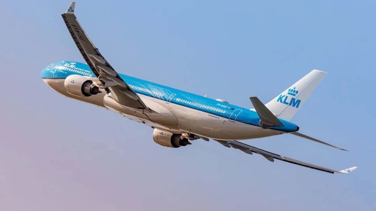 Afghan teenager arrives in Delhi alive after hiding in the landing gear compartment of an aeroplane