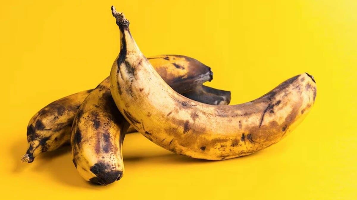 Overripe Bananas Are Safe to Eat or not know the actual truth LIF