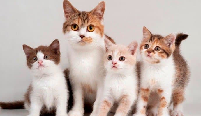 woman died after falling from the 7th floor