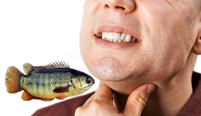Youth died after he took a climbing fish in his mouth gnr