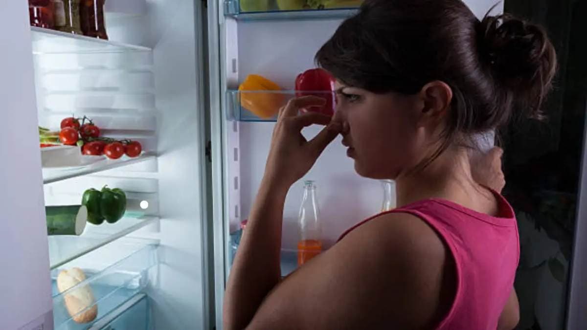 Five Home Remedy of bad odour in refrigerator