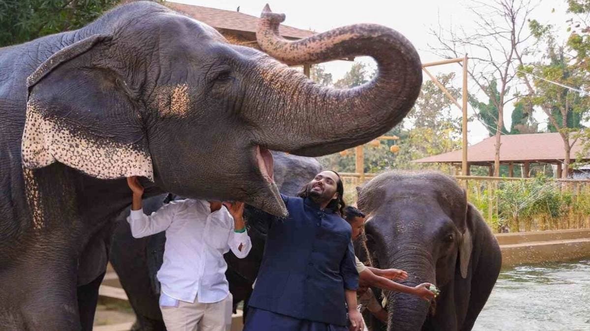 Vantara zoo sparks controversy over deer release