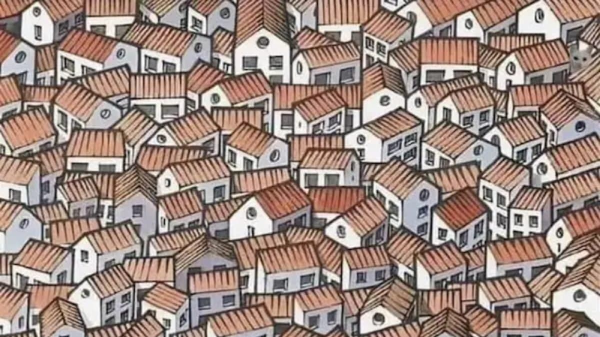 Optical Illusion: Find the cat hidden in the image