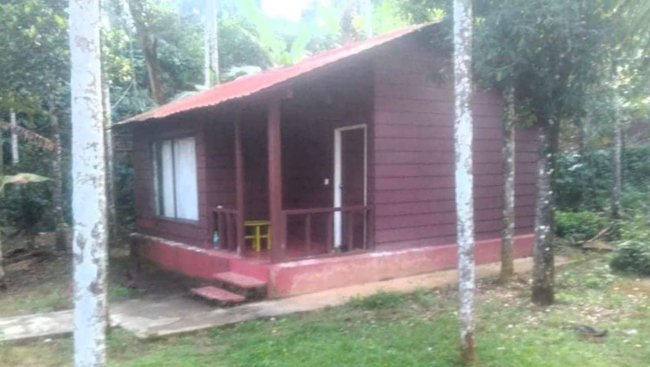 Couple commits suicide after killing 11-year-old daughter