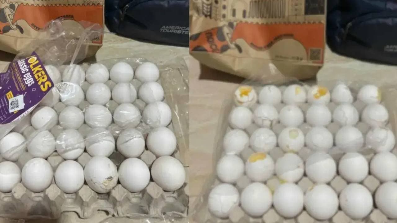 Customer fakes broken egg image using Ai and fools instamart