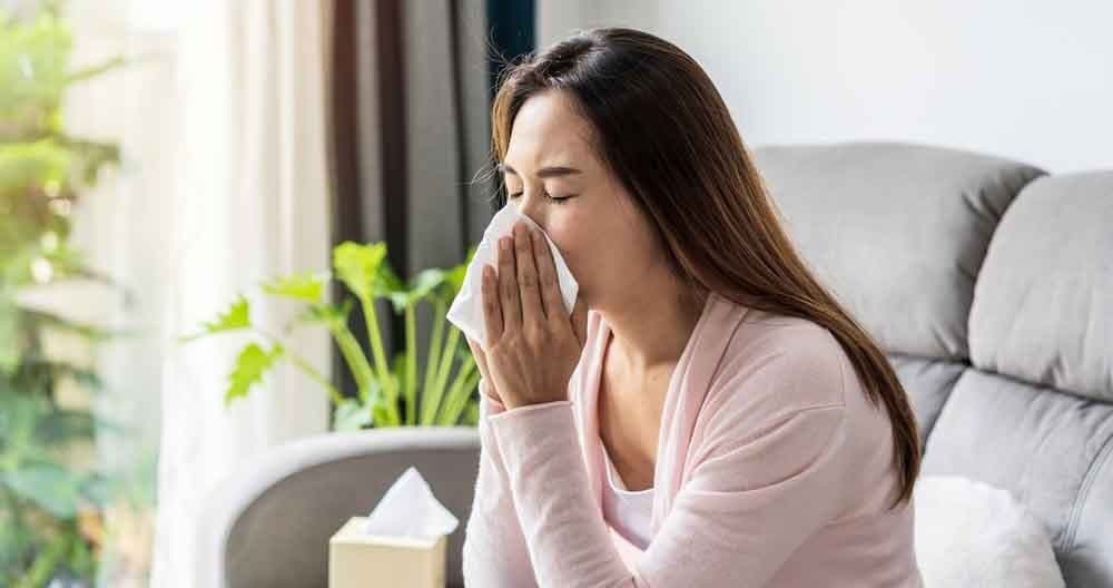 these home remedies will give you relief from sneezing LIF