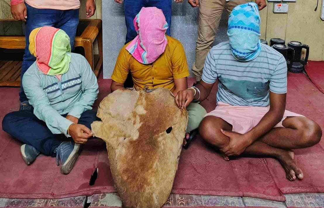 hog deer killed, three arrest gnr