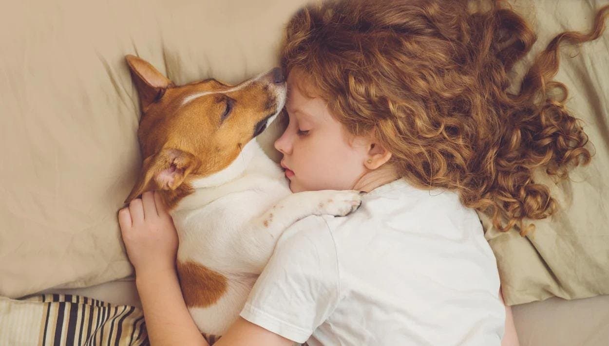  5 wonderful benefits of napping with your pets!