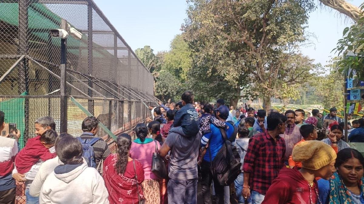 Record footfall at alipore zoo on sunday gnr 