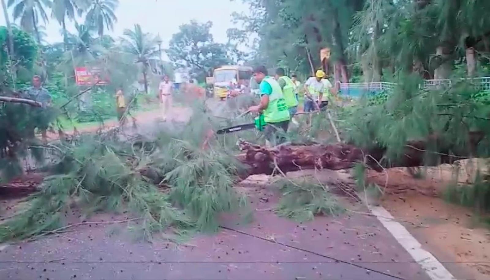 IMD weather Update Cyclone Dana damaged houses and trees