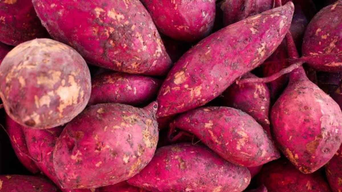 Sweet potatos is good for diabetic patients lif