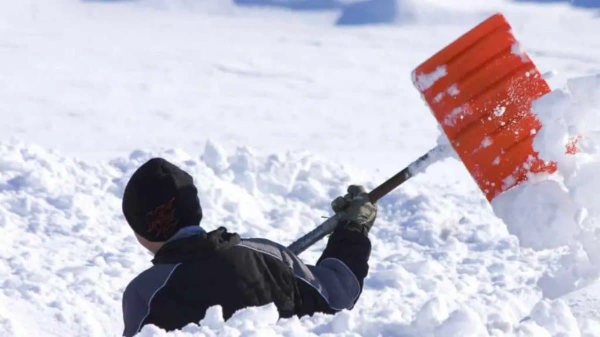 why are tourists flocking to japan to clear snow for free gnr