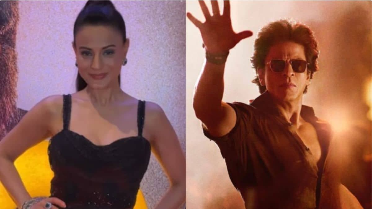 শাহরুখের 'চলতে চলতে' ছবিতে নায়িকা হওয়ার সুযোগ কীভাবে হারিয়েছিলেন? এত বছর পর‌ প্রথমবার ফাঁস আমিশার