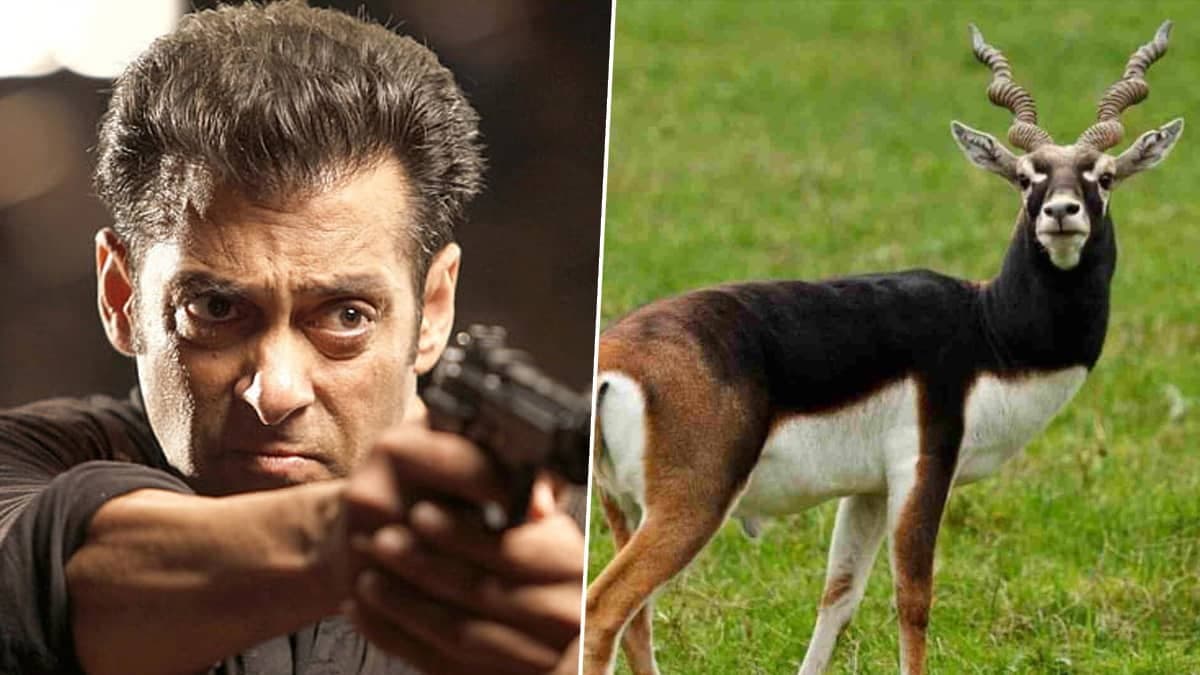 কৃষ্ণসার হরিণ শিকার কে করেছিলেন? কেন সেই দায় নিয়েছেন সলমন? চাঞ্চল্যকর দাবি সত্যজিৎ রায়ের নায়িকার!