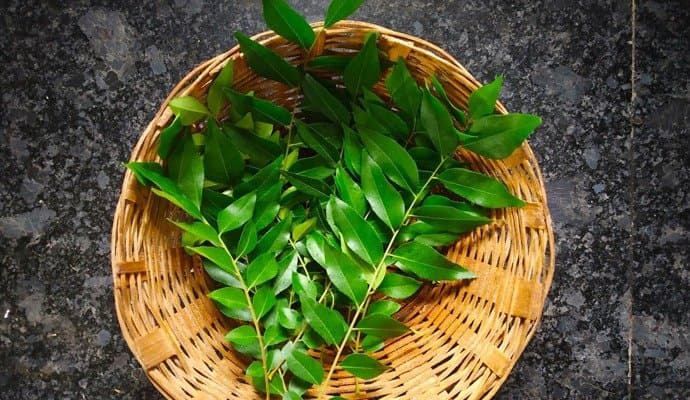 Surprising benefits of curry leaves on an empty stomach. lyf