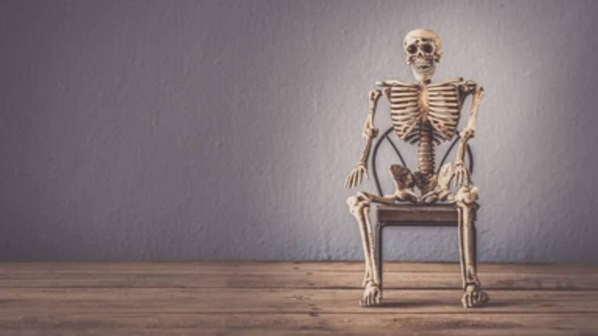 Woman skeleton was found in London after three years