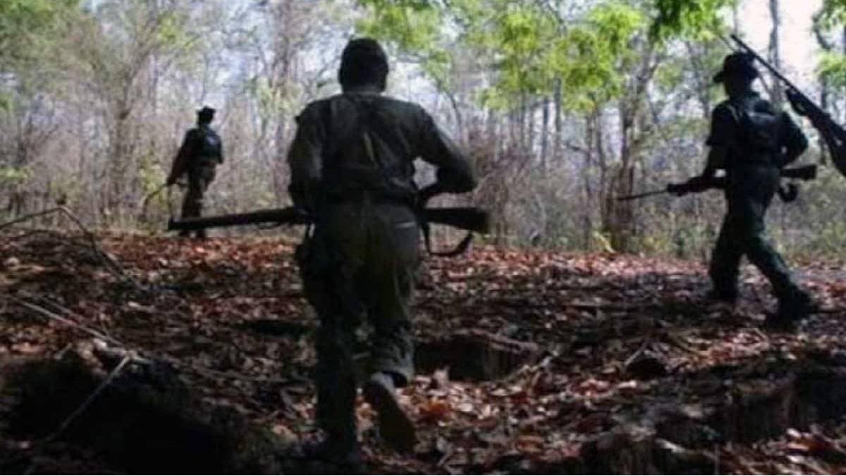  12 Maoists Killed In Encounter With Security Forces In Chhattisgarh Bijapur
