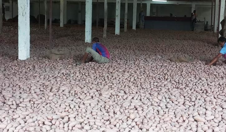 potato price hike chance in west bengal gnr