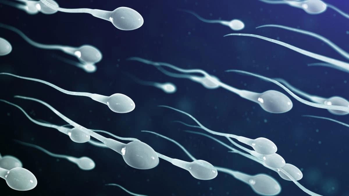 Rare Condition: in this disease seed is not released properly during physical intimacy