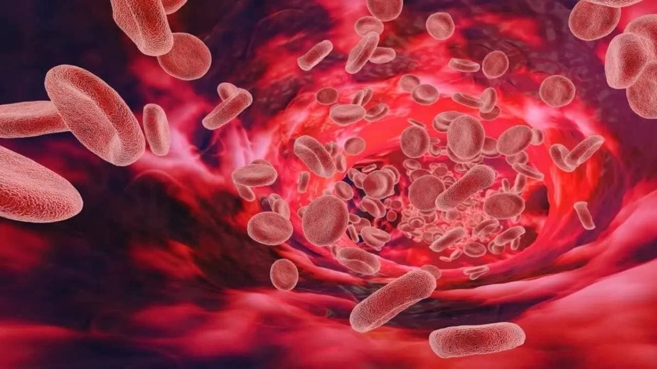 Health Tips: These winter foods improves iron deficiency