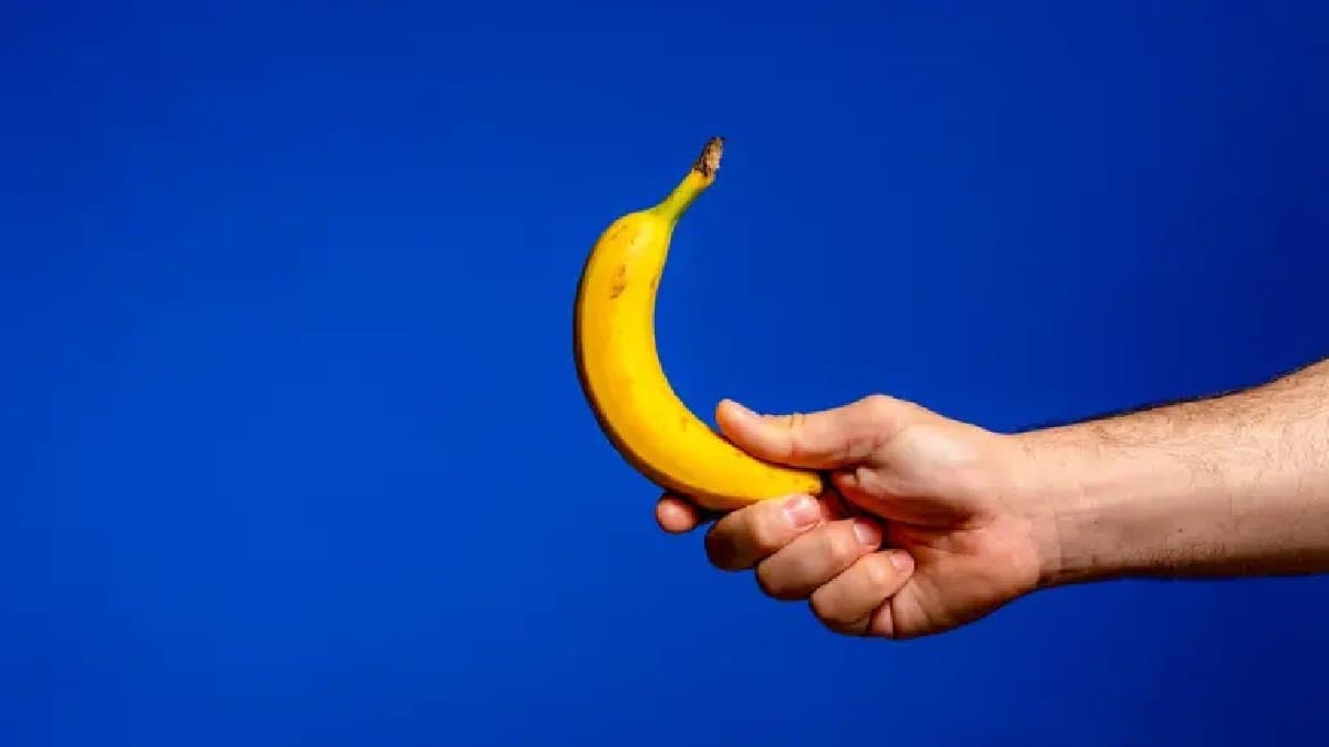 Bizarre physical intimacy ritual in banana slugs still puzzles scientists